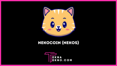 Nekocoin (NEKOS), Crypto Meme Berbasis Komunitas Kucing Lovers
