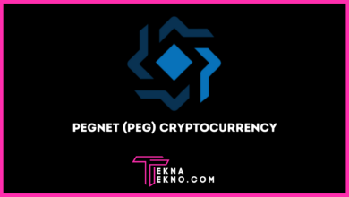 PegNet (PEG) Cryptocurrency, Mengapa Berharga_