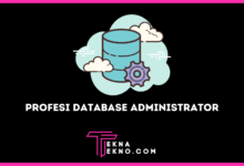 Profesi Database Administrator_ Tugas, Skill dan Prospek Kerja