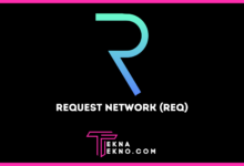Request Network (REQ), Token ERC-20 berbasis Ethereum