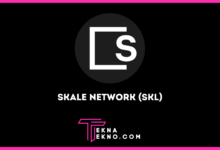 SKALE Network (SKL) Cryptocurrency_ Keunikan dan Harganya
