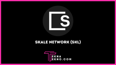 SKALE Network (SKL) Cryptocurrency_ Keunikan dan Harganya
