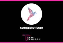 Songbird (SGB), Canary Network dalam Dunia Crypto