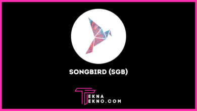 Songbird (SGB), Canary Network dalam Dunia Crypto