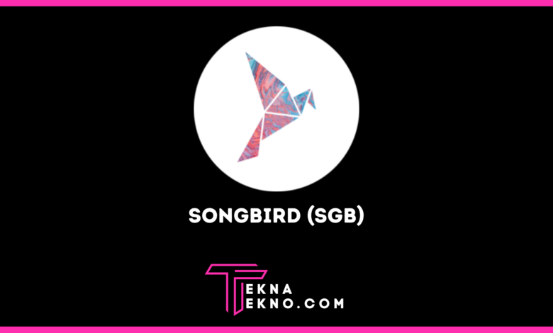Songbird (SGB), Canary Network dalam Dunia Crypto