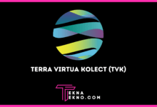 Terra Virtua Kolect (TVK), Aset Crypto yang Jadi Marketplace Trading NFT