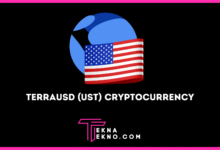 TerraUSD (UST) Cryptocurrency_ Cara Kerja dan Harganya