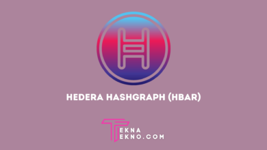 Apa itu Hedera Hashgraph (HBAR), Jaringan Blockchain Proof of Stake