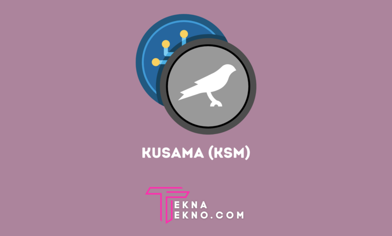 Apa itu Kusama (KSM), Token Crypto yang Berproses di Polkadot (DOT)