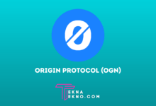Apa itu Origin Protocol (OGN) dalam Jaringan Peer-to-Peer