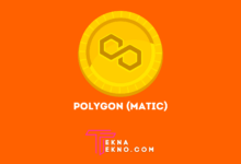 Apa itu Polygon (MATIC)_ Aset Crypto yang Banyak Diincar Investor