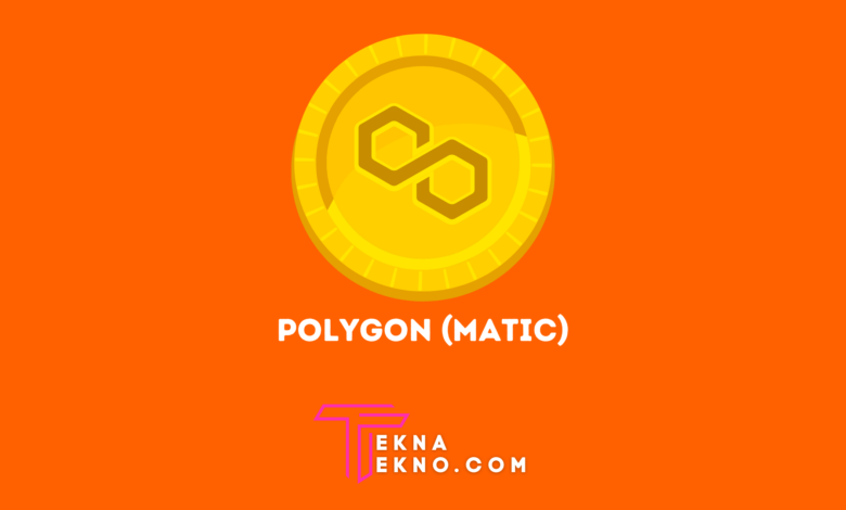 Apa itu Polygon (MATIC)_ Aset Crypto yang Banyak Diincar Investor