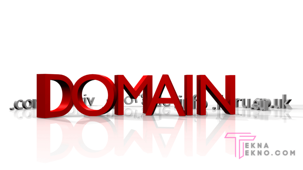 Cara Kerja Domain