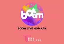 Download Aplikasi Boom Live Mod Apk Terbaru