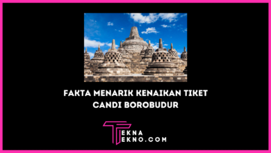 Harga Tiket Candi Borobudur Naik_ Ini Fakta Menariknya