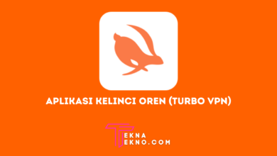 Pengertian Aplikasi Turbo VPN, Aplikasi Kelinci Oren yang Lagi Viral