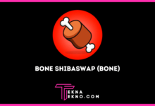 Pengertian Bone ShibaSwap BONE Token Crypto ShibaSwap Milik Shiba Inu
