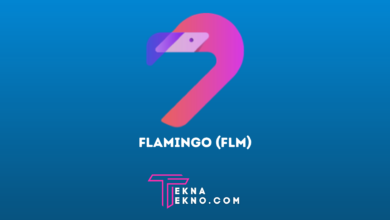 Pengertian Flamingo (FLM) dan Prediksi Harga Token FLM