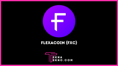 Pengertian Flexacoin (FXC), Platform Crypto Jaminan Pembayaran DeFi