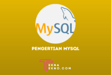 Pengertian MySQL, Fungsi, Kelebihan dan Kekurangan