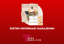 Pengertian Sistem Informasi Manajemen dan Contohnya
