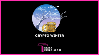 Penjelasan Apa itu Crypto Winter dalam Kondisi Pasar Digital Crypto