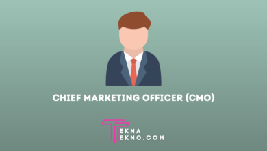 Apa Itu Chief Marketing Officer Pengertian, Tugas dan Wewenang