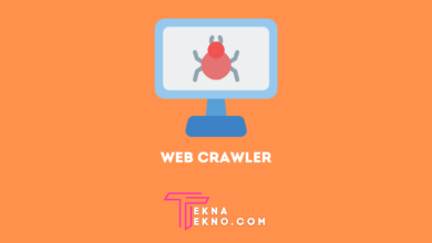 Apa Itu Web Crawler Pengertian, Fungsi dan Cara Kerjanya