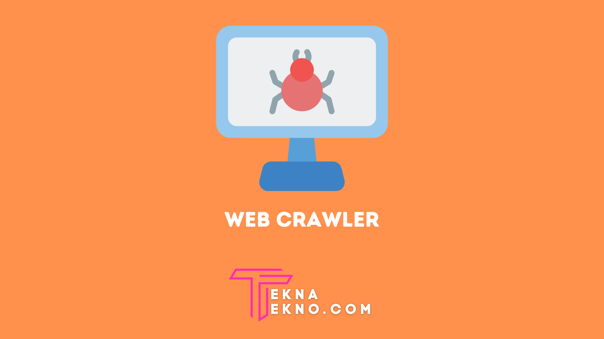 Web Crawler Escort