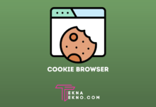 Pengertian Cookie Browser, Fungsi, Jenis dan Cara Menghapusnya