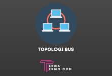 Apa itu Topologi Bus Karakteristik dan Cara Kerjanya