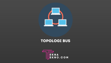 Apa itu Topologi Bus Karakteristik dan Cara Kerjanya