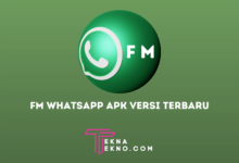 Download Aplikasi FM Whatsapp Apk Versi Terbaru