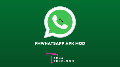Download Fmwhatsapp Apk Mod Anti Banned