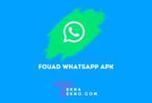 Download Fouad WhatsApp Apk Mod Versi Terbaru