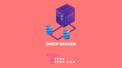 Pengertian DHCP Server, Fungsi dan Cara Kerjanya