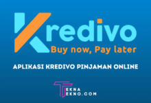 Review Aplikasi Kredivo Pinjaman Online Terdaftar di OJK