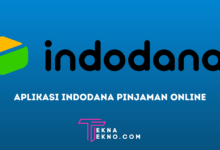 Riview Aplikasi Indodana, Pinjaman Online Tanpa Jaminan