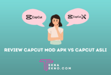 Review CapCut Mod Apk vs CapCut Original, Lebih Baik Mana